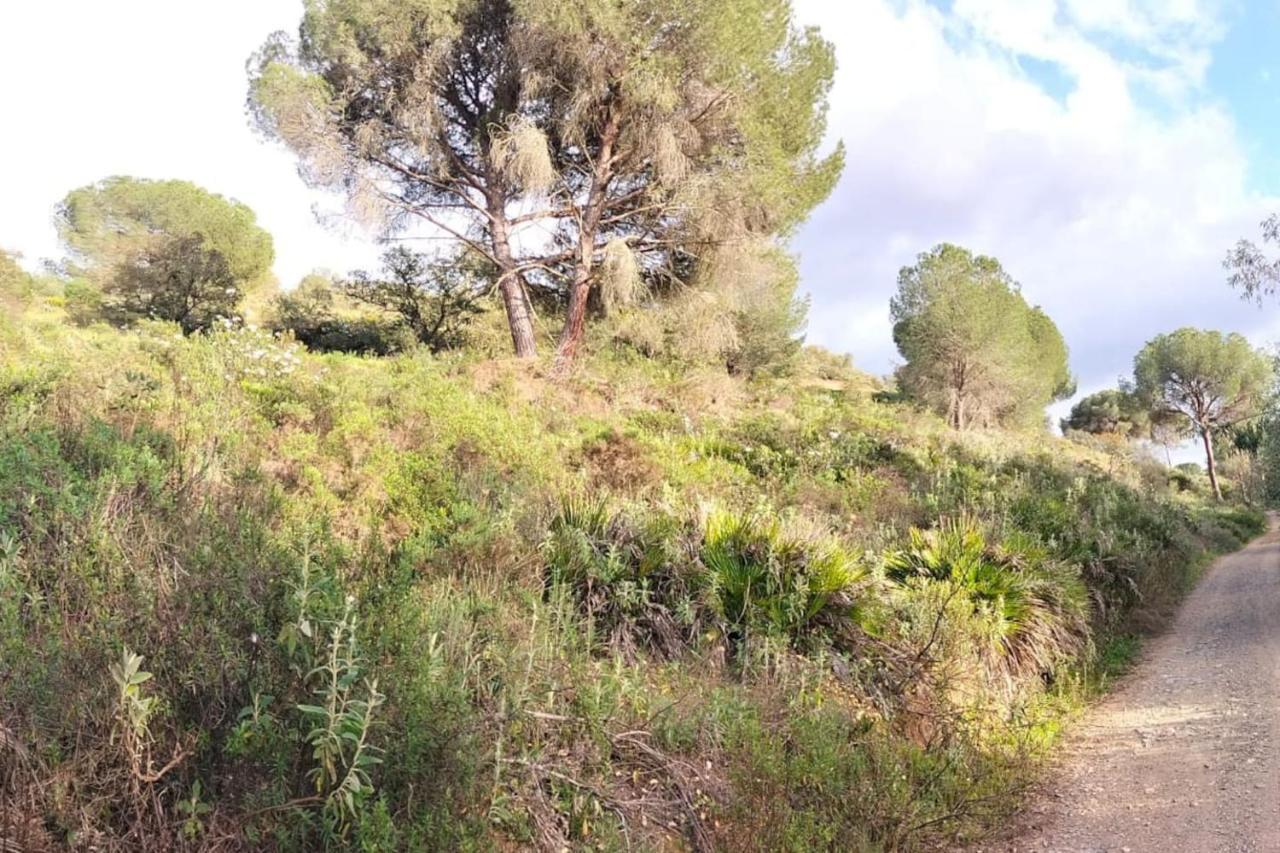 Finca Riodiel Gibraleón Eksteriør bilde